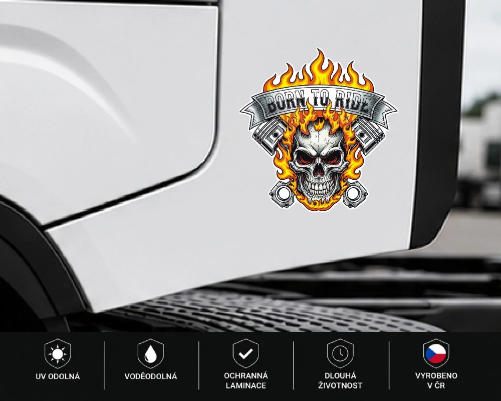 samolepka Born to Ride Skull